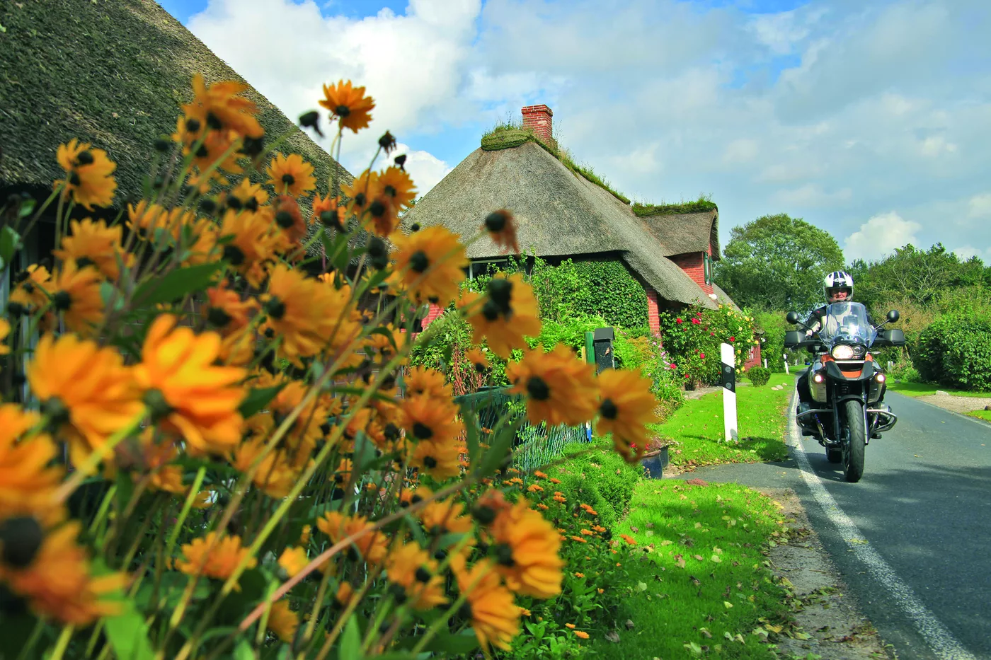 Reetgedecktes Haus hinter Sonnenblumen, davor ein Motorrad auf der Straße Reetgedecktes Haus hinter Sonnenblumen, davor ein Motorrad auf der Straße